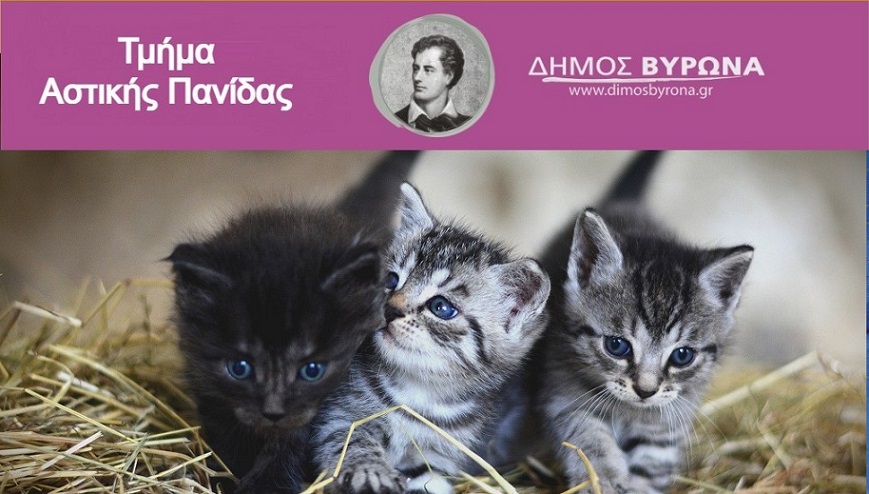 Δήμος Βύρωνα: Δωρεάν στειρώσεις για 50 αδέσποτες γάτες 11 και  12 Φεβρουαρίου